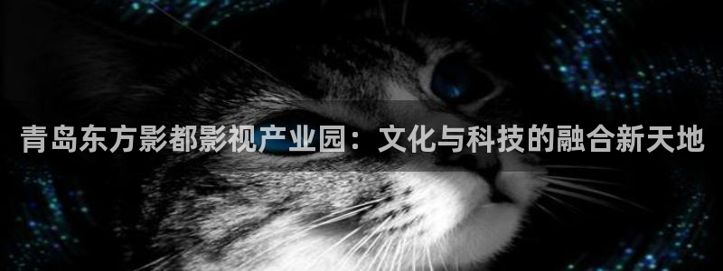 金牌影视官方正版在线观看免费