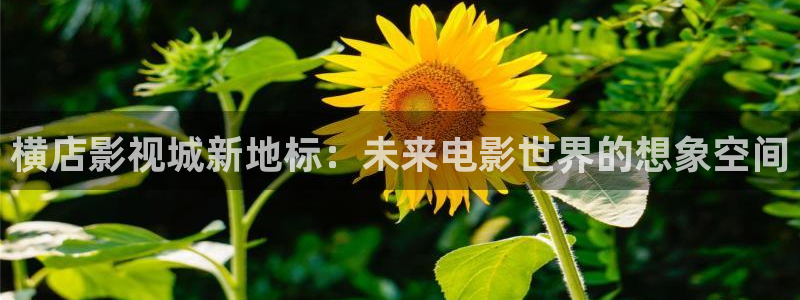金牌影院电视剧免费播放在线观看全集