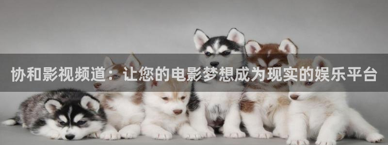 长乐曲金牌影院