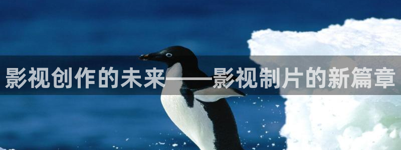 金牌影院雁回时