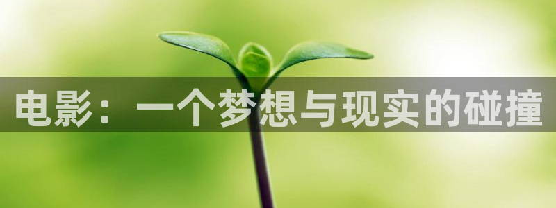 金牌影院网站
