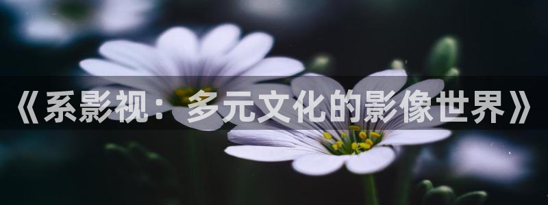 金牌影视官网