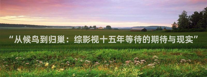 冲向金牌电影